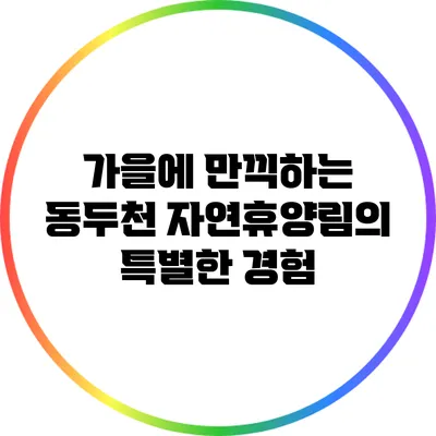가을에 만끽하는 동두천 자연휴양림의 특별한 경험