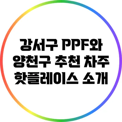 강서구 PPF와 양천구 추천 차주 핫플레이스 소개