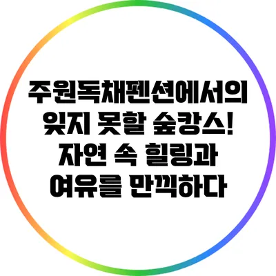 주원독채펜션에서의 잊지 못할 숲캉스! 자연 속 힐링과 여유를 만끽하다