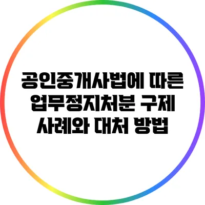 공인중개사법에 따른 업무정지처분 구제 사례와 대처 방법