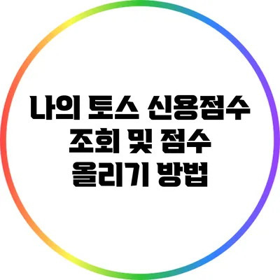 나의 토스 신용점수 조회 및 점수 올리기 방법