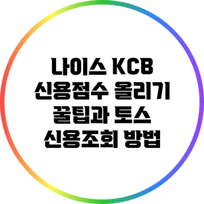 나이스 KCB 신용점수 올리기 꿀팁과 토스 신용조회 방법