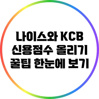 나이스와 KCB 신용점수 올리기 꿀팁 한눈에 보기