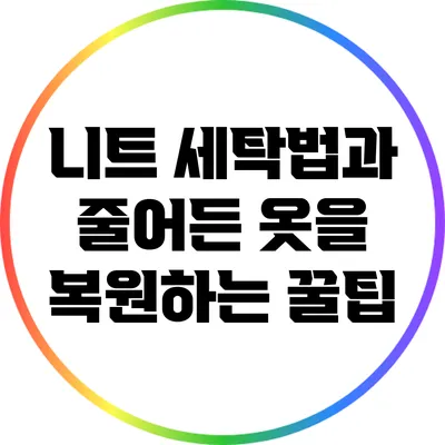니트 세탁법과 줄어든 옷을 복원하는 꿀팁