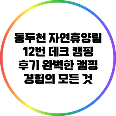 동두천 자연휴양림 12번 데크 캠핑 후기: 완벽한 캠핑 경험의 모든 것