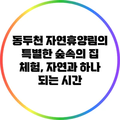 동두천 자연휴양림의 특별한 숲속의 집 체험, 자연과 하나 되는 시간