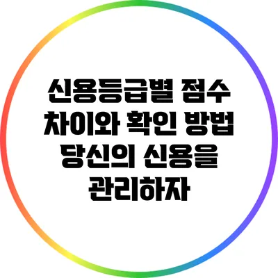 신용등급별 점수 차이와 확인 방법: 당신의 신용을 관리하자