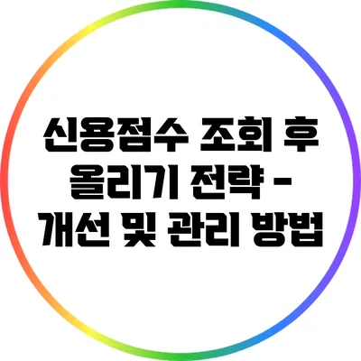 신용점수 조회 후 올리기 전략 - 개선 및 관리 방법