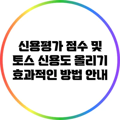 신용평가 점수 및 토스 신용도 올리기: 효과적인 방법 안내