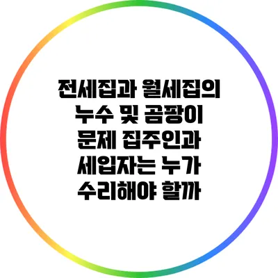 전세집과 월세집의 누수 및 곰팡이 문제: 집주인과 세입자는 누가 수리해야 할까?