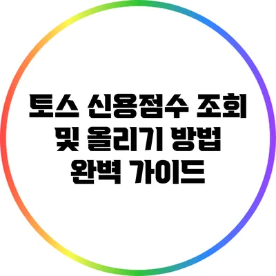 토스 신용점수 조회 및 올리기 방법 완벽 가이드