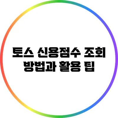 토스 신용점수 조회 방법과 활용 팁