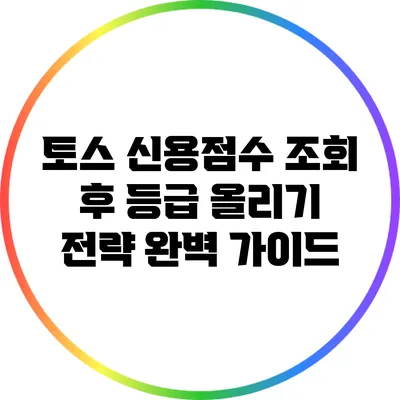 토스 신용점수 조회 후 등급 올리기 전략 완벽 가이드