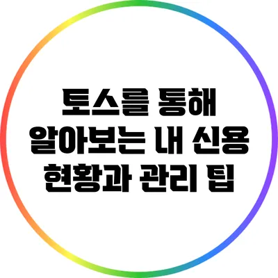 토스를 통해 알아보는 내 신용 현황과 관리 팁