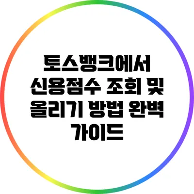 토스뱅크에서 신용점수 조회 및 올리기 방법 완벽 가이드