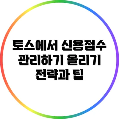 토스에서 신용점수 관리하기: 올리기 전략과 팁
