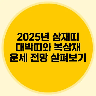 2025년 삼재띠 대박띠와 복삼재 운세 전망 살펴보기