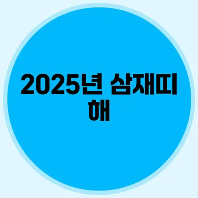 2025년 삼재띠 해