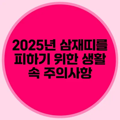 2025년 삼재띠를 피하기 위한 생활 속 주의사항