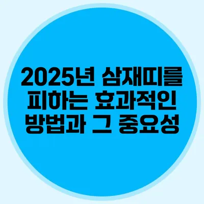 2025년 삼재띠를 피하는 효과적인 방법과 그 중요성