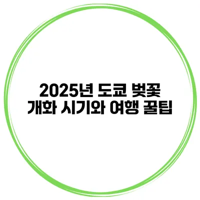 2025년 도쿄 벚꽃 개화 시기와 여행 꿀팁