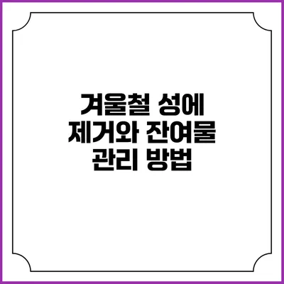 겨울철 성에 제거와 잔여물 관리 방법