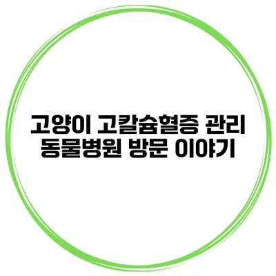 고양이 고칼슘혈증 관리 동물병원 방문 이야기