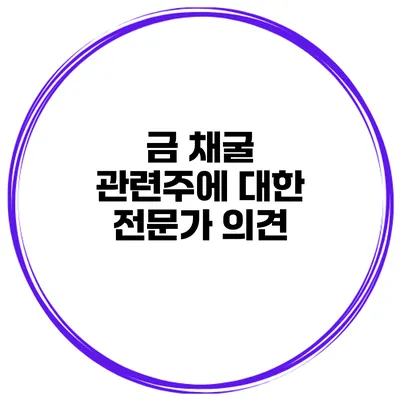 금 채굴 관련주에 대한 전문가 의견