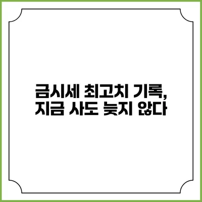 금시세 최고치 기록, 지금 사도 늦지 않다?