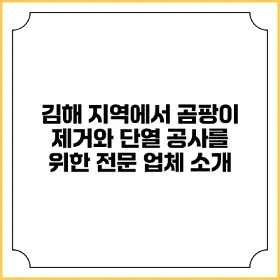 김해 지역에서 곰팡이 제거와 단열 공사를 위한 전문 업체 소개