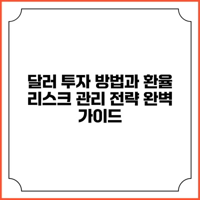 달러 투자 방법과 환율 리스크 관리 전략 완벽 가이드