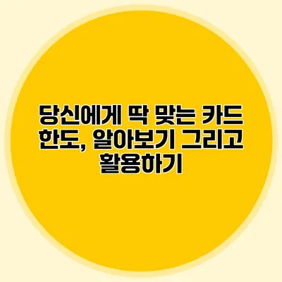 당신에게 딱 맞는 카드 한도, 알아보기 그리고 활용하기