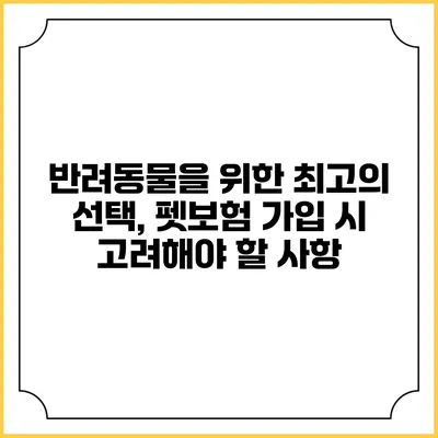 반려동물을 위한 최고의 선택, 펫보험 가입 시 고려해야 할 사항