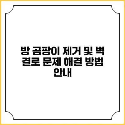 방 곰팡이 제거 및 벽 결로 문제 해결 방법 안내