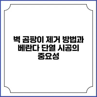 벽 곰팡이 제거 방법과 베란다 단열 시공의 중요성