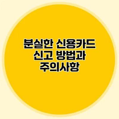 분실한 신용카드 신고 방법과 주의사항