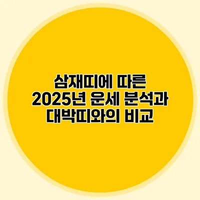 삼재띠에 따른 2025년 운세 분석과 대박띠와의 비교