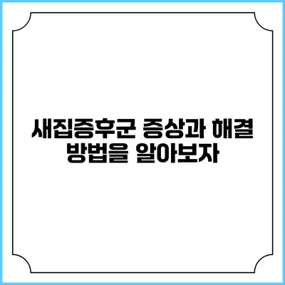 새집증후군: 증상과 해결 방법을 알아보자