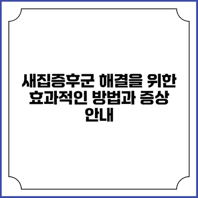 새집증후군 해결을 위한 효과적인 방법과 증상 안내