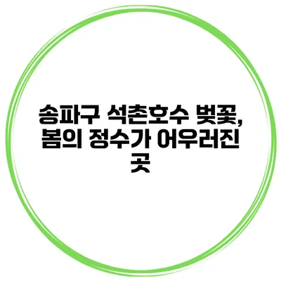 송파구 석촌호수 벚꽃, 봄의 정수가 어우러진 곳