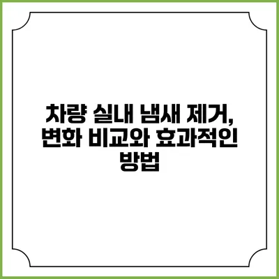 차량 실내 냄새 제거, 변화 비교와 효과적인 방법