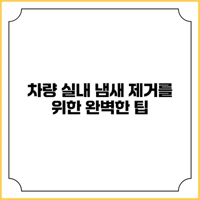 차량 실내 냄새 제거를 위한 완벽한 팁