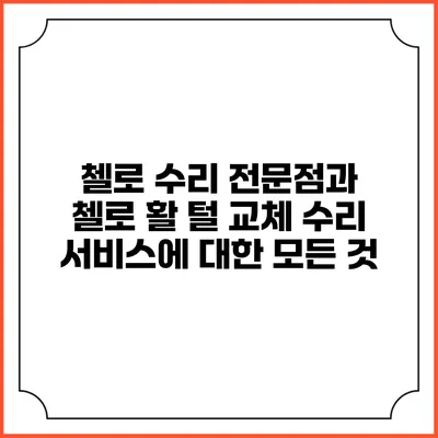 첼로 수리 전문점과 첼로 활 털 교체 수리 서비스에 대한 모든 것