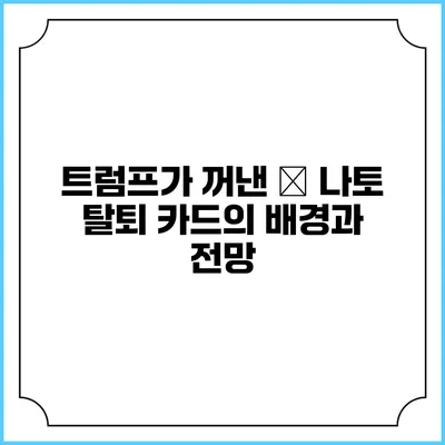 트럼프가 꺼낸 美 나토 탈퇴 카드의 배경과 전망