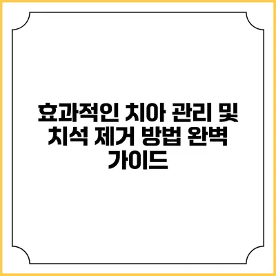 효과적인 치아 관리 및 치석 제거 방법 완벽 가이드