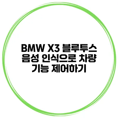 BMW X3 블루투스 음성 인식으로 차량 기능 제어하기