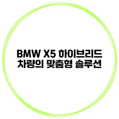 BMW X5 하이브리드 차량의 맞춤형 솔루션