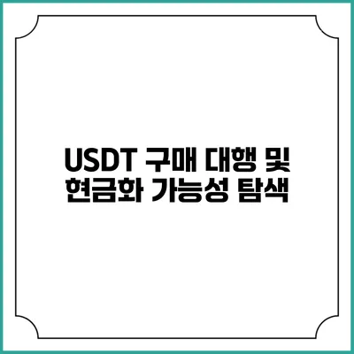 USDT 구매 대행 및 현금화 가능성 탐색