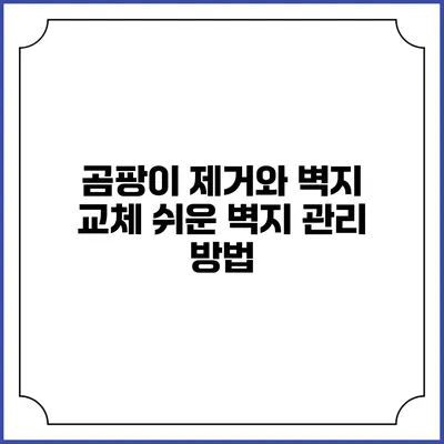 곰팡이 제거와 벽지 교체: 쉬운 벽지 관리 방법