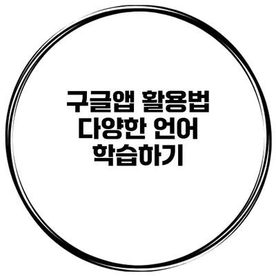 구글앱 활용법 다양한 언어 학습하기